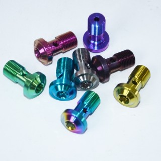 Factory Direct Motorcycle GR5 Titanium Alloy Brake Line Screws-M10*1.0/1.25 High-Strength Candy Color Screws